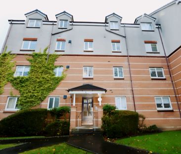 2Bedrooms, 2Bathrooms - Photo 4