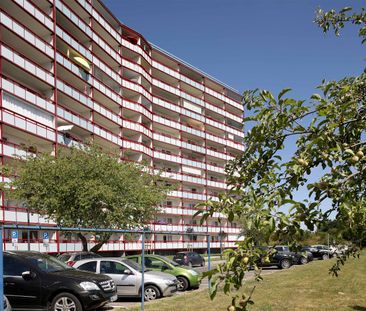 Mit super Ausblick auf den Tollensesee! - Photo 4