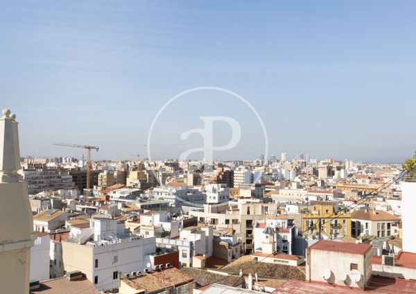 Penthouse for rent with Terrace in San Francesc (Valencia)