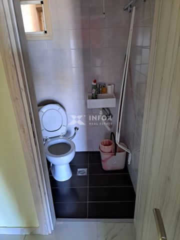 ΕΝΟΙΚΙΑΖΕΤΑΙ ΕΞΑΙΡΕΤΙΚΟ ΔΙΑΜΕΡΙΣΜΑ 117 Τ.Μ. ΣΤΙΣ ΣΥΚΙΕΣ - Φωτογραφία 5