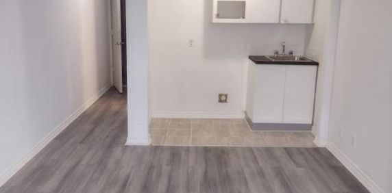1 CH - 1 SDB - Montréal - $1,095 /mo - Photo 2