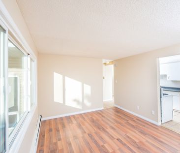 Alexander Apartments - Photo 3