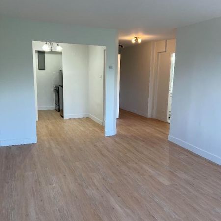 3½ Apartments Available - A louer • For Rent - Photo 3