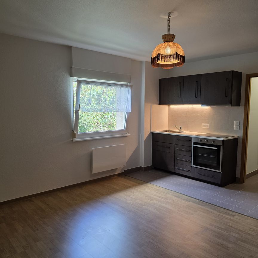 Location Appartement 1 pièce 29m² WISSEMBOURG 67160 - Photo 1