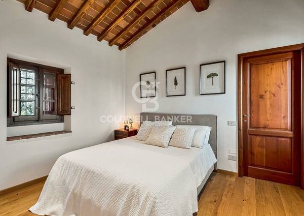 viale apua, Pietrasanta, Tuscany 55045