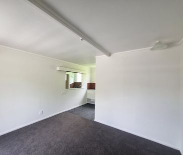 Newly renovated studio in Taihape - Photo 1