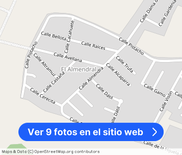 Alquiler de casa o chalet independiente en Cuatro Pinos-El Carmen - Foto 1