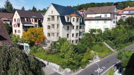 Wohnen mit Sicht auf den Hausberg von Zürich - Photo 5