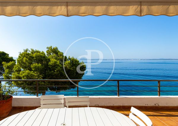 Flat for rent with Terrace in Port d’Alcúdia - Platja d'Alcúdia (Alcúdia)