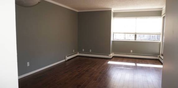 one bedroom apartment for rent in Dunbar area - Photo 2