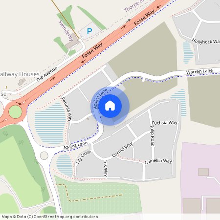 Daffodil Way, Witham St. Hughs, LINCOLN