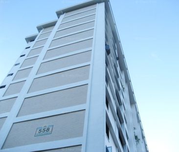 Blk 558 Ang Mo Kio Avenue 10 (Ang Mo Kio), HDB 3 Rooms - For Rent - Photo 6