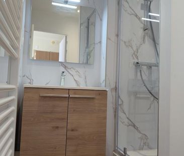 Location Appartement 1 pièce Meublé 23m² ANGERS 49100 - Photo 1