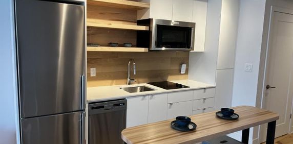 1 1/2 - Montréal - 1 490 $/mois - Photo 2