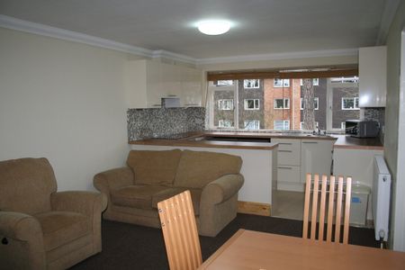 8 Lesley Court - Photo 3