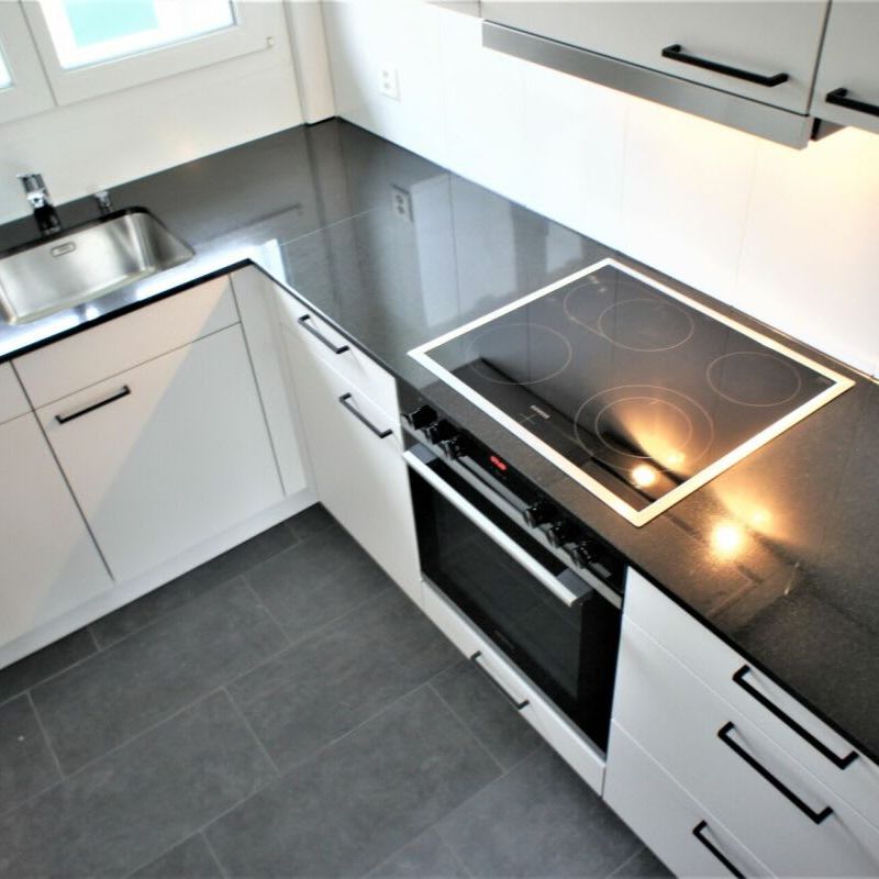 3.5 Zimmer, 65 m², EG - Foto 1