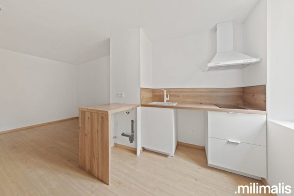 Location Appartement 1 pièce 20m² METZ 57070 - Photo 1