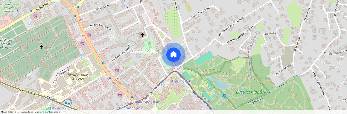 8010 Graz - Dr.-Robert-Graf-Straße 33/2