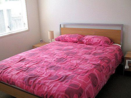 PURIRI PLACE - SUNNY AND SPACIOUS - Photo 3