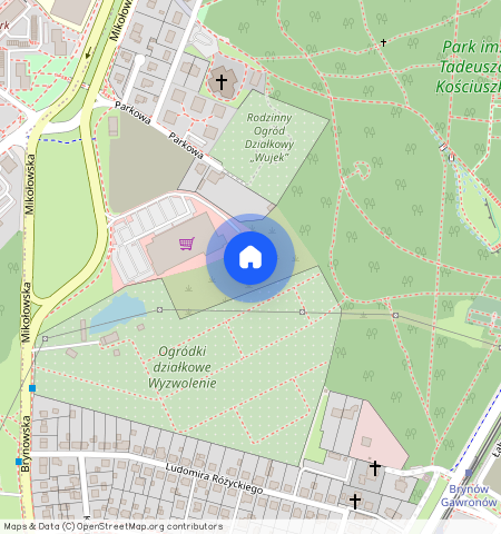 Brynowska, ŚLĄSKIE, Brynów, 40-585, Katowice