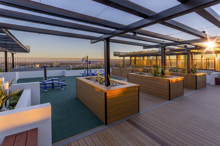 10706/5 Sam Sing Street, Waterloo NSW 2017 - Apartment For Rent | Domain - Photo 2