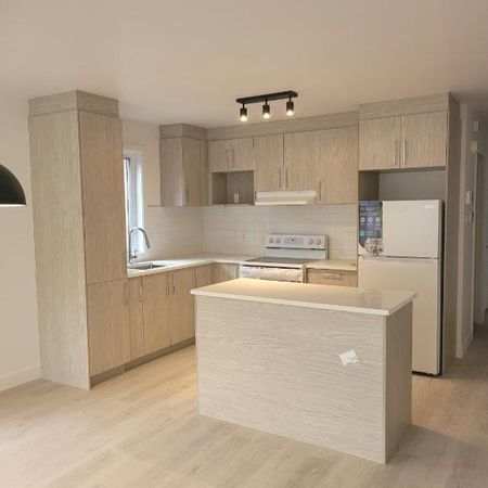 Luxueux condo neuf et moderne 4 1/2 Métro PIE-IX Montréal Hochelaga-Maisonneuve à louer - appartement / logement - Photo 3