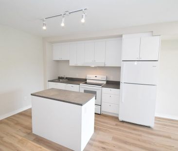 For Lease - 50 Herrick Avenue Unit# 228, St. Catharines, Ontario - Photo 6