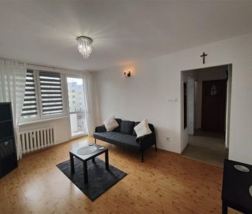 Mieszkanie Elbląg wynajem - Zdjęcie 3