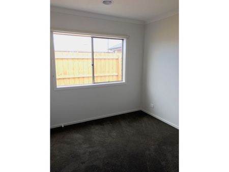 26 Cassava Street, Armstrong Creek VIC 3217 - House For Rent | Domain - Photo 3