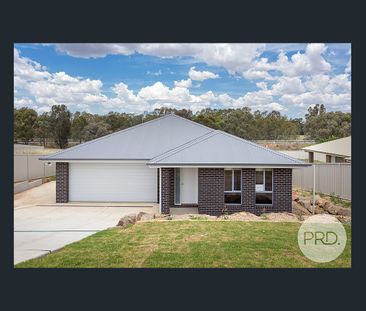 21A Sunvale Crescent, Estella NSW 2650 - Photo 6