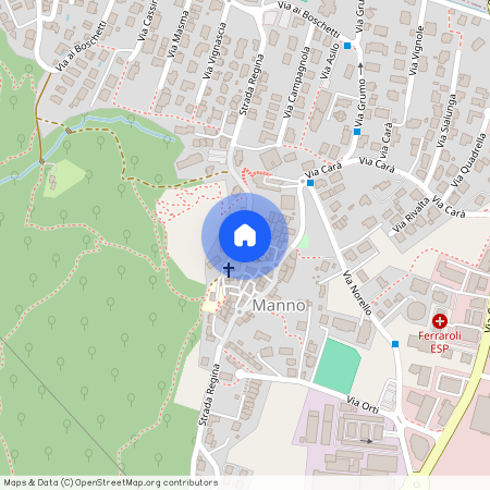 6928, Manno, Strada Regina