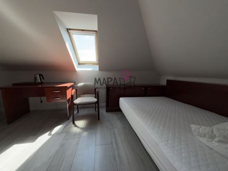 Apartament 3 sypialne plus salon w centrum WYNAJEM - Zdjęcie 3