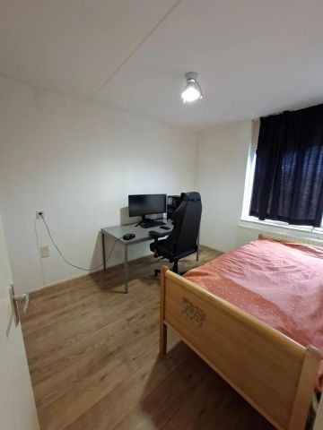 Appartement au rez-de-chaussée Pieter Dekkerstraat, Winkel - À louer - Foto 2