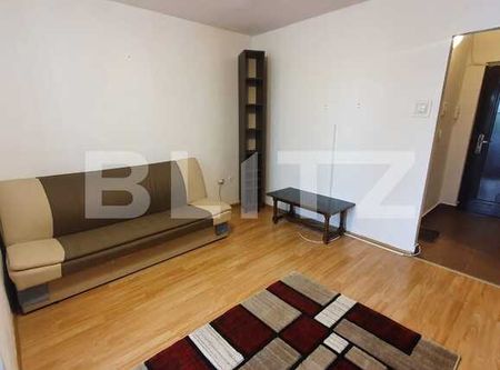 Garsoniera pet friendly, 30 mp, balcon, zona Big - Photo 4