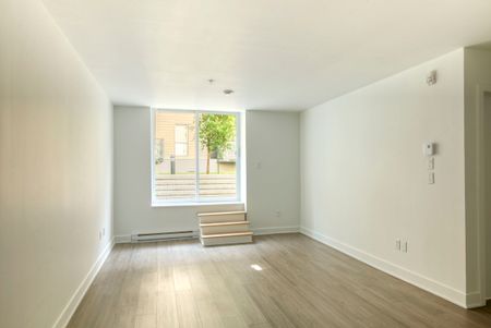 9675 Av. Papineau - Photo 4