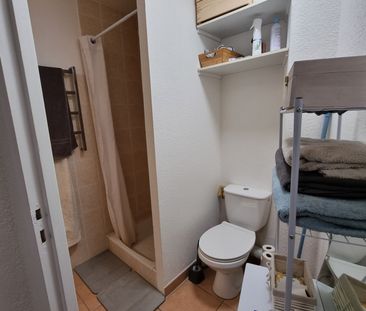 Location Appartement 2 pièces 31m² ST MARTIN DU VAR 06670 - Photo 6