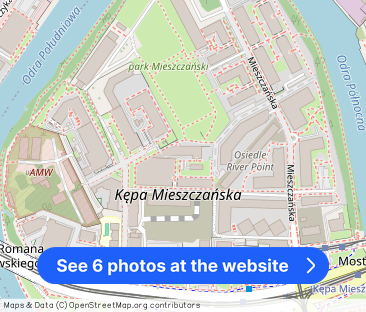 bez prowizji Kępa Mieszczańska DMOWSKIEGO klimatyzacja,taras,garaż - Photo 1