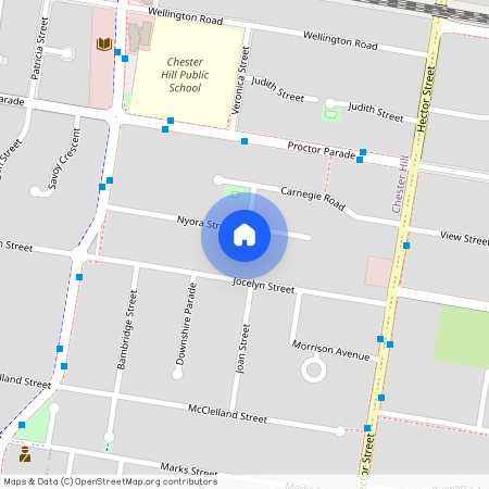 33 Nyora Street, NSW 2162, Chester Hill