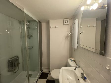 Location Appartement 2 pièces 42m² BRIOUDE 43100 - Photo 4