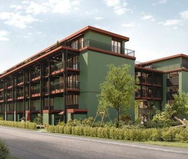 Looking for a unique apartment in Birsfelden? - Foto 2