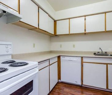 MCLEAN : One bedroom Apartment 2,100$ for October 1st - Photo 4