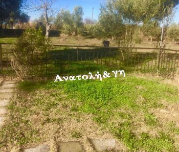 Μονοκατοικία για ενοικίαση Νέα Ραιδεστός (Θέρμη) - Photo 6