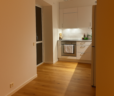 Repslagaregatan 9 - Foto 1