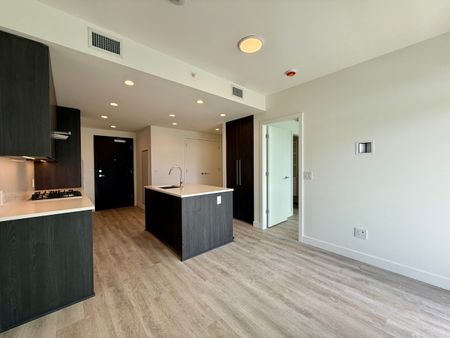 Brand New 1 Bdrm facing South w/ Lakeview at Water St by the Park - Photo 3