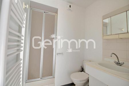 Location Appartement 1 pièce 16m² GRENOBLE 38000 - Photo 2