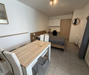 Location Appartement 1 pièce 24m² ST PAUL DE VARAX 01240 - Photo 4