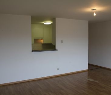 Sippelberg - 3-Bedroom Apartment - Directly from the owner - Photo 3