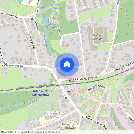 ul. Winorośli, Kostuchna, Katowice, śląskie