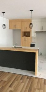 Superbe logement 3 1/2 + bureau à St-Nicolas, 1ier étage, climatisé, 2 STATIONNEMENTS EXTÉRIEURS INCLUS, LIBRE LE 1ier décembre 2025. - Photo 4