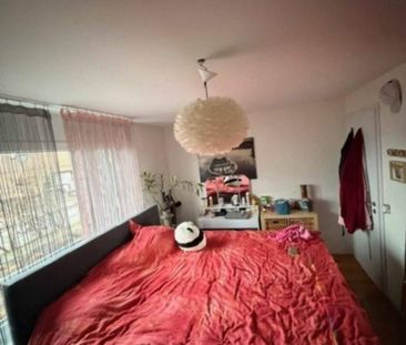 2.5 Zimmer, 54 m², EG - Foto 4